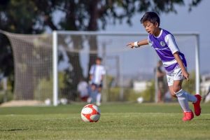 Nace Auditour Promesas